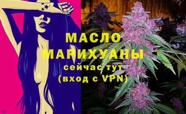гидра Надым