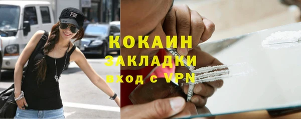гидра Надым