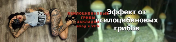 гидра Надым