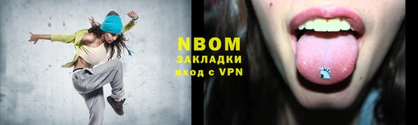 гидра Надым