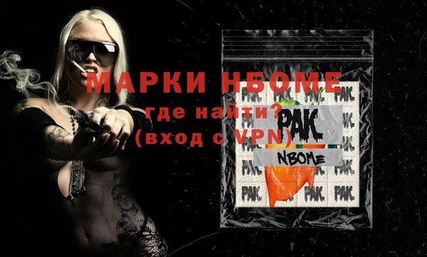гидра Надым