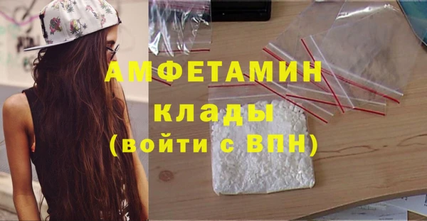 гидра Надым