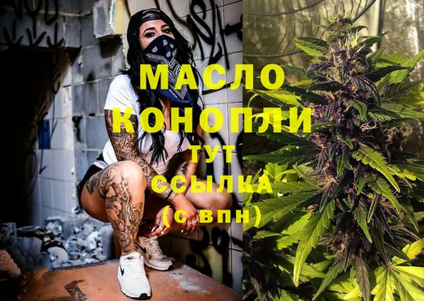 гидра Надым