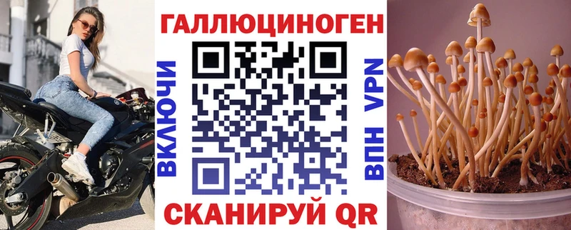 продажа наркотиков  Красноперекопск  Псилоцибиновые грибы GOLDEN TEACHER 