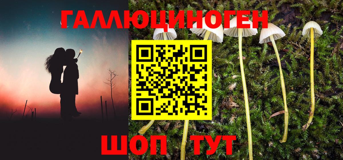 Псилоцибиновые грибы мицелий  Красноперекопск  Псилоцибиновые грибы ЛСД 