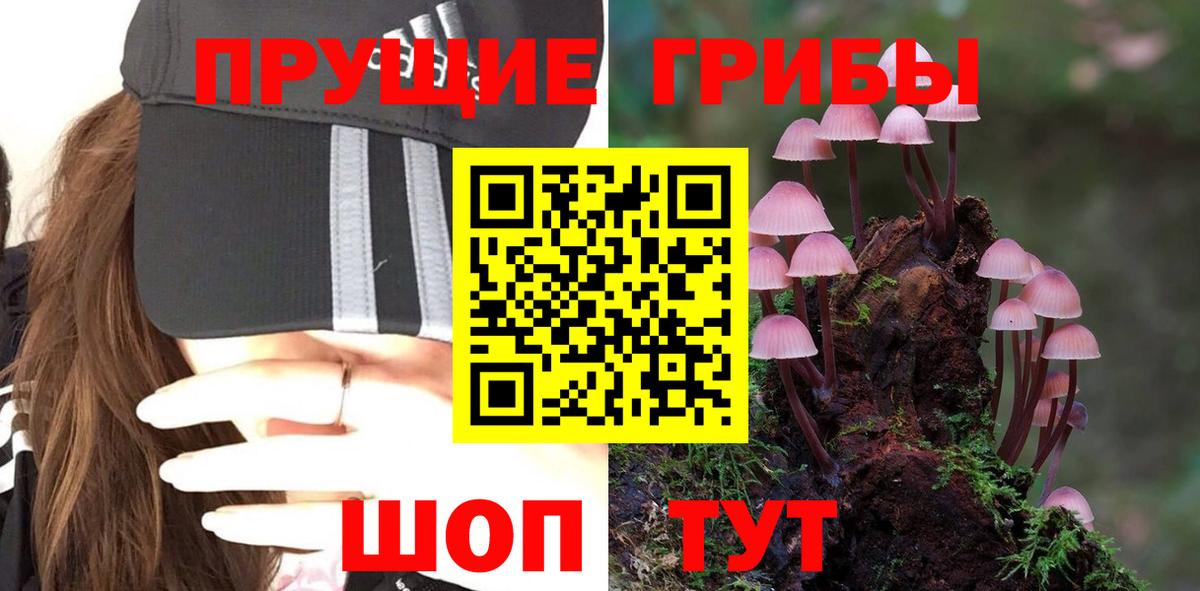 Галлюциногенные грибы мицелий Красноперекопск